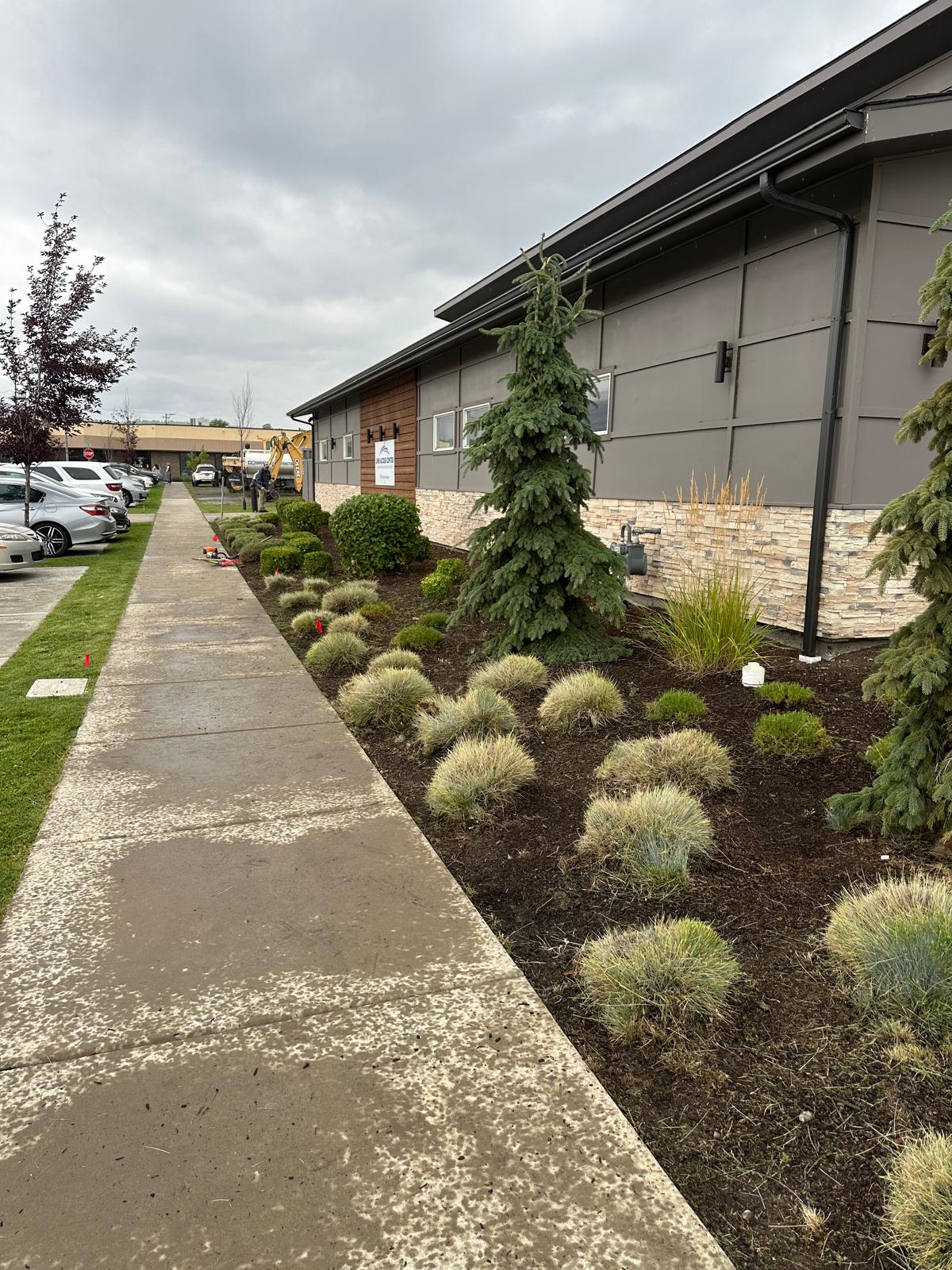 Trimmed hedge row outside a brick office building