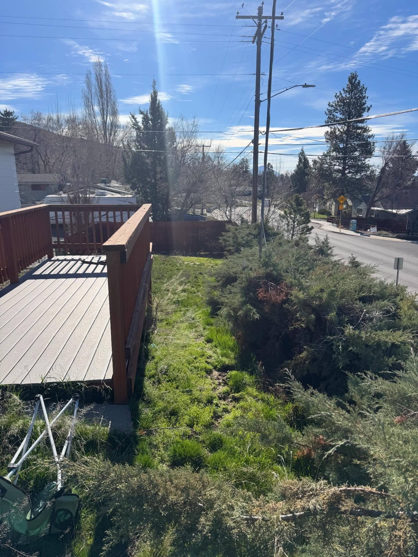 Trimmed hedge line and mowed lawn strip along a fence