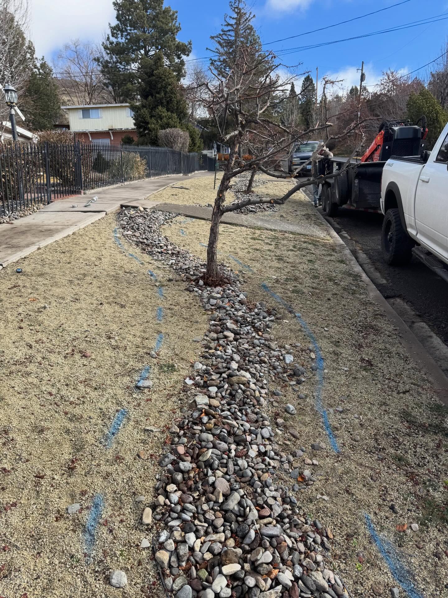 Crew truck parked beside a freshly pruned curbside tree and river rock bed